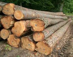 Wooden Logs