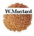 White Mustard Seeds