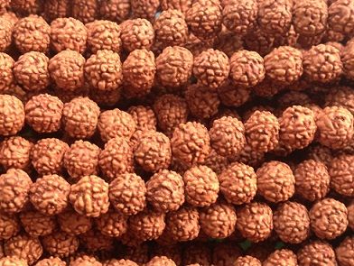 Rudraksha Mala