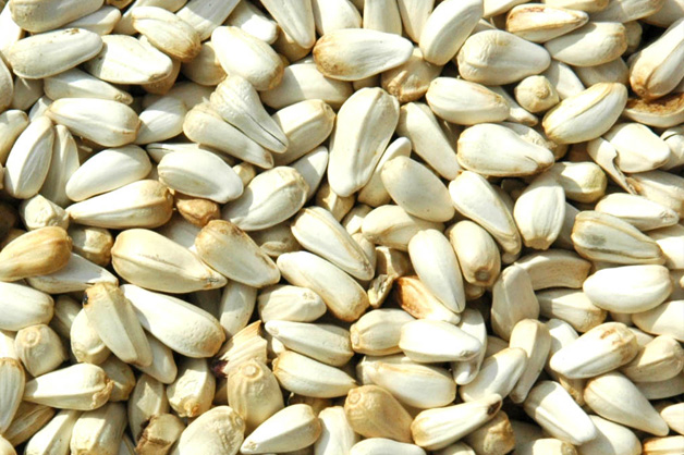 https://img1.exportersindia.com/product_images/bc-full/dir_71/2124743/safflower-seeds-sunflower-seeds-millets-sorghum-618710.jpg