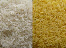 Basmati Parboiled Rice