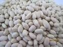 white kidney beans
