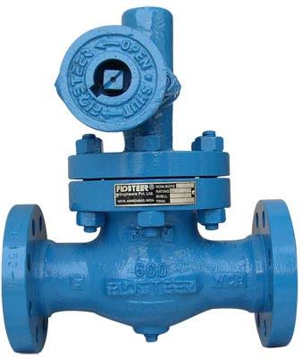 Blowdown Valve