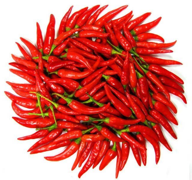 Fresh Red Chilli