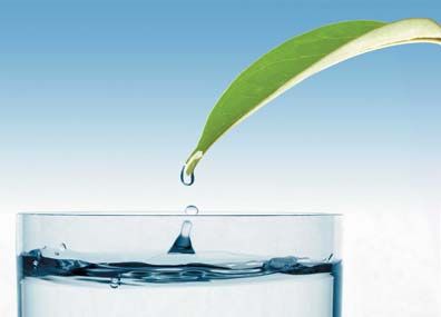 Sparkling Mineral Water