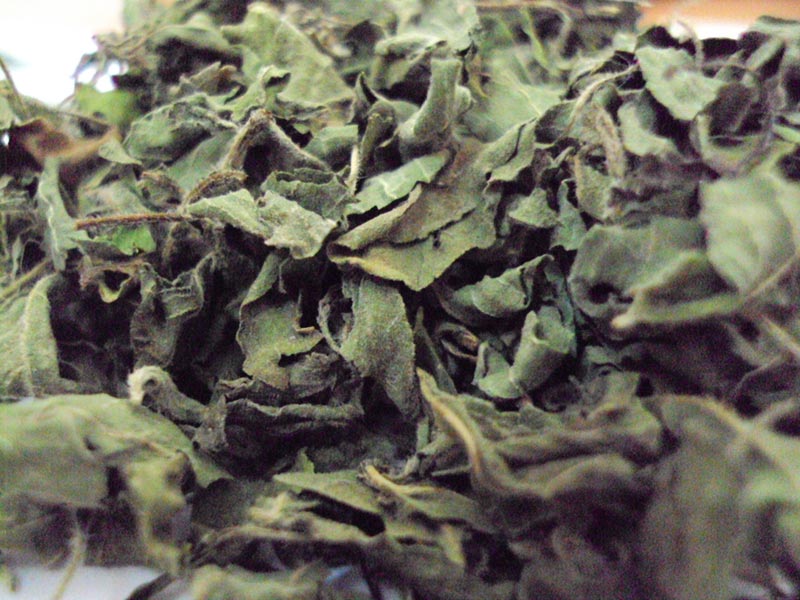 Dried Tulsi Leaves, for Medicinal, Feature : Nutrient Richness, Quality, Reliable Performance, Safe Usage High