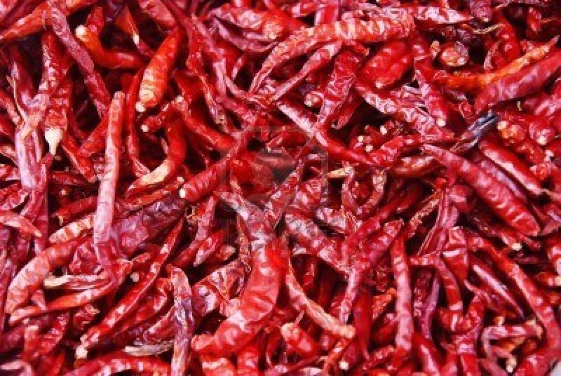 Dried Red Chili