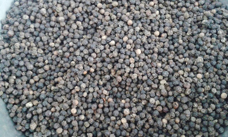 black pepper