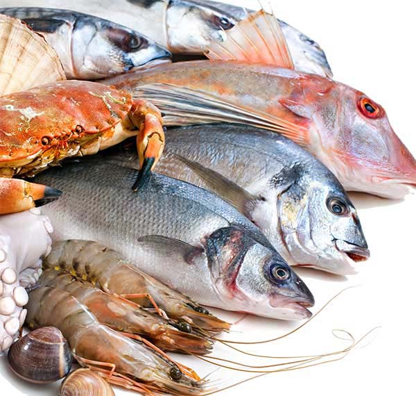 fresh seafood Manufacturer offered by Sujata Enterprises Navi Mumbai