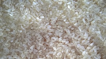 IR 8 Parboiled Rice