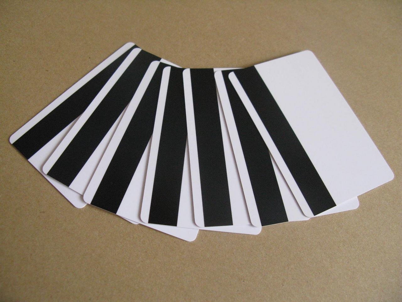 Magnetic Stripe Card