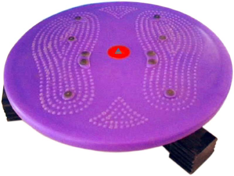 Gym Stand DISC