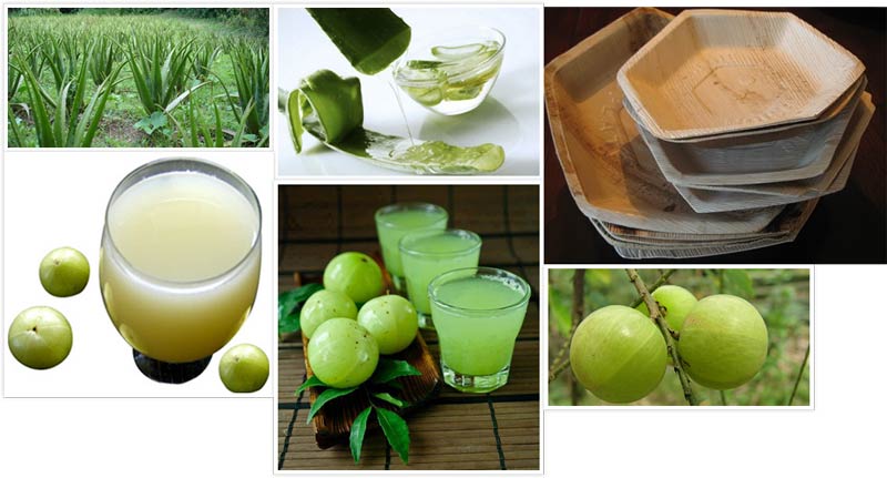 Aloe Vera Juice, Amla Juice, Eco  Palm  Leaf Plates