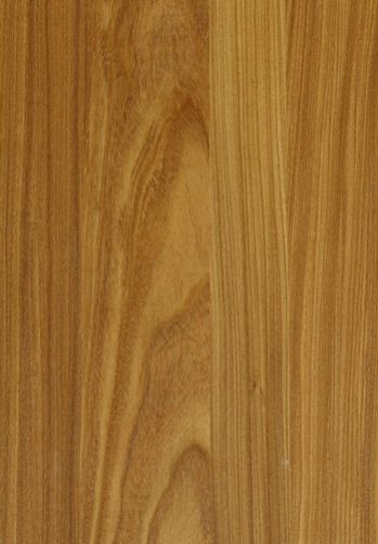 Prefinished Natural Wood Veneer( Golden Teak)