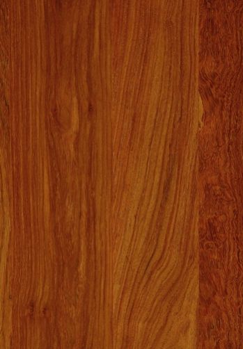 Prefinished Natural Wood Veneer (Padauk)