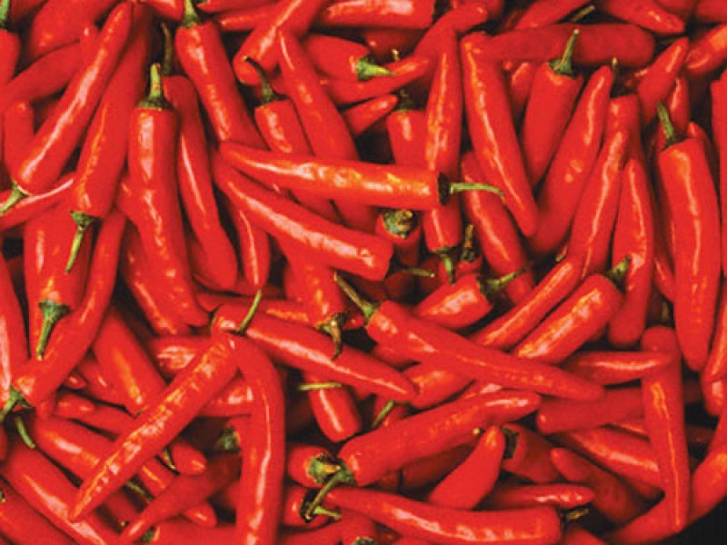 Fresh Red Chilli