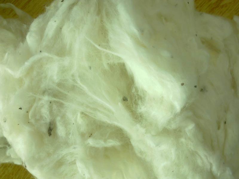 Raw Cotton Buy raw cotton for best price at USD 1.75 / Kilogram ( Approx )
