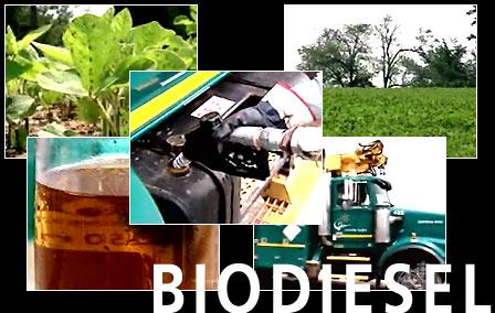 Biodiesel, Biofuels