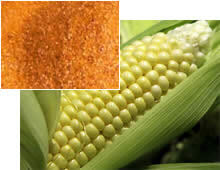 corn grit