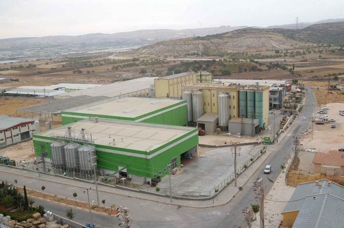 Pulses Processing Plant