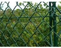 Pvc coated chain link fencing