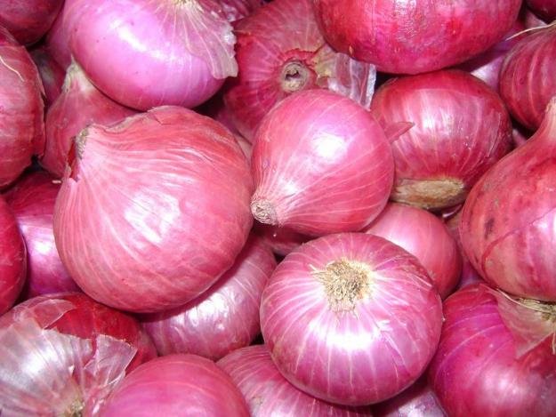 Ekvira Exporters red onion