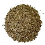 Grass Seed