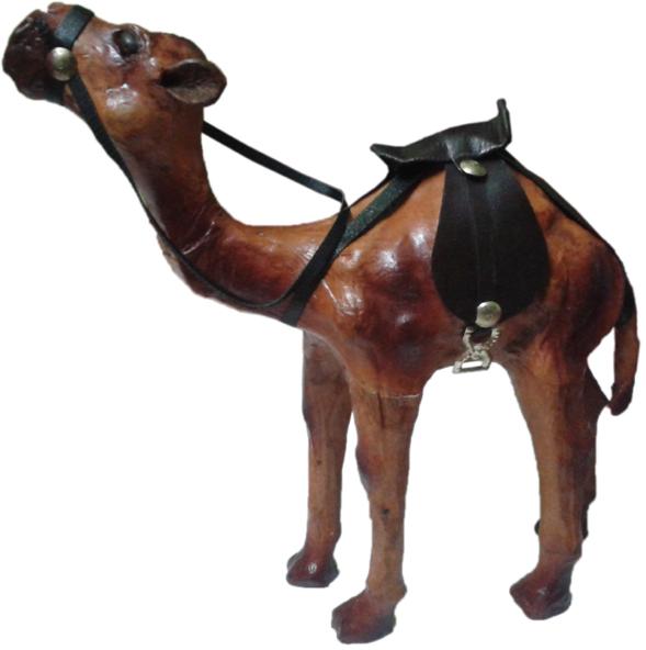 Show Piece Camel