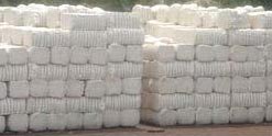 Cotton Bales