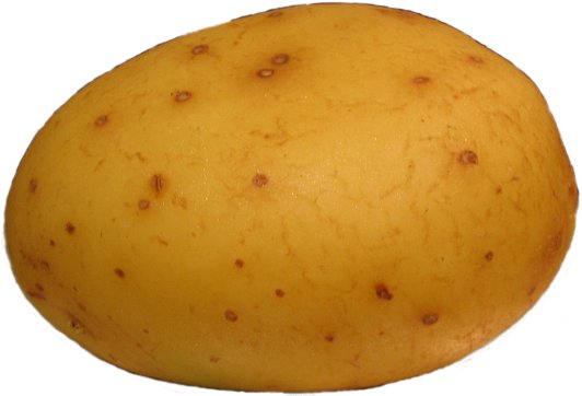 Freah Potatoes