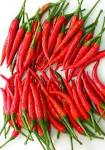 red chilli sauce