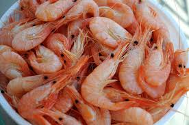 white shrimp