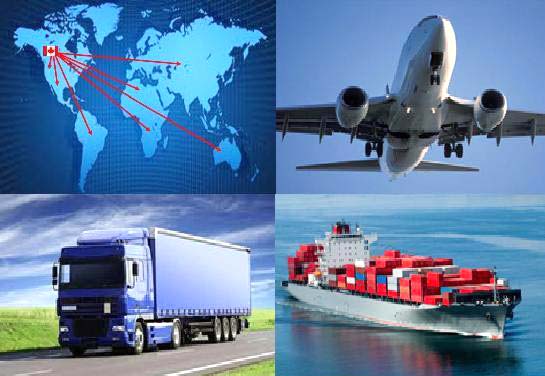 Logistic Service, Shipping Service