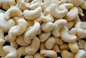 Processed Cashew Nuts