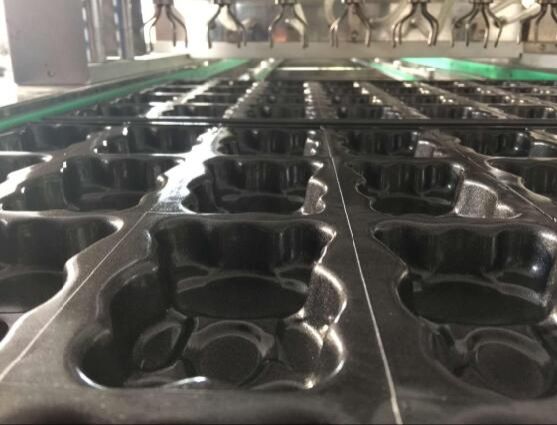 Matryoshka Cake Line