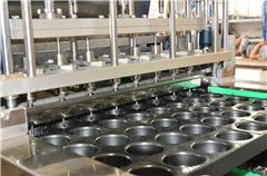 Vertical Injection Machine