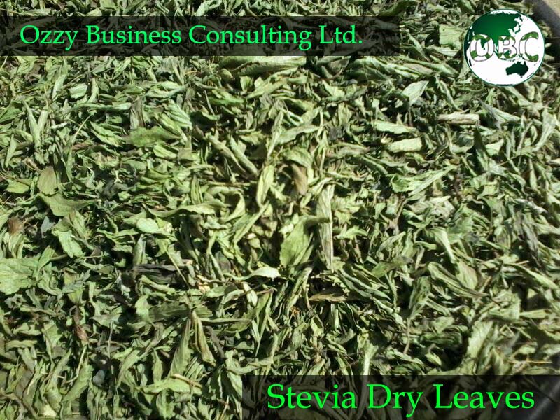 Stevia Dry Leaves as Well as Wide Range