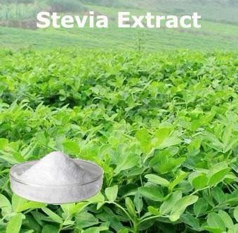 Stevia Extract Powder