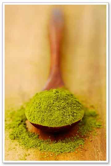 Stevia Green Powder ( Nature Product)