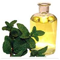 Stevia Lemongrass Oil