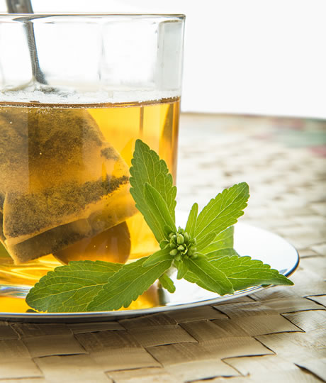 Stevia Tea Leaves Sweetner