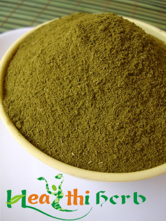Stevia Green Powder
