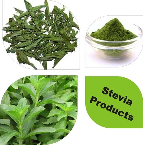 Stevia Products