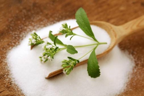 Stevia Extract White Powder