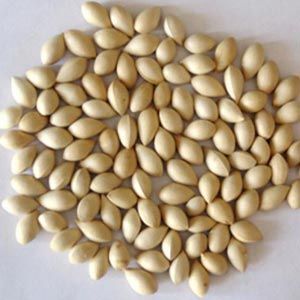 98% Anticancerous Limonin Extract From Citrus Seeds