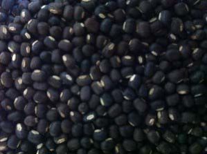 Black Matpe Beans