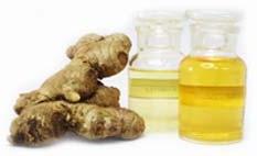 Fresh Ginger Oil