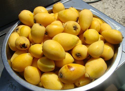 Fresh Loquat