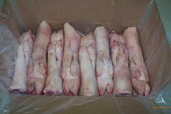 Pig Feet