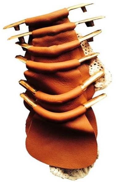 21 BALLS BRASS COMPLETE UPPER POCKET SET